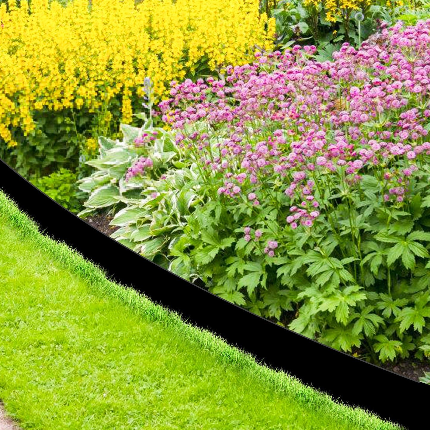 Landscape Garden Border Edging Plastic ,Landscape Coiled Edging, Grass Barrier, Bender Board, Weed Barrier, Garden Borders, 4.7 in x 32.8 ft, 0.78 in Thickness, Easy to Install, Black